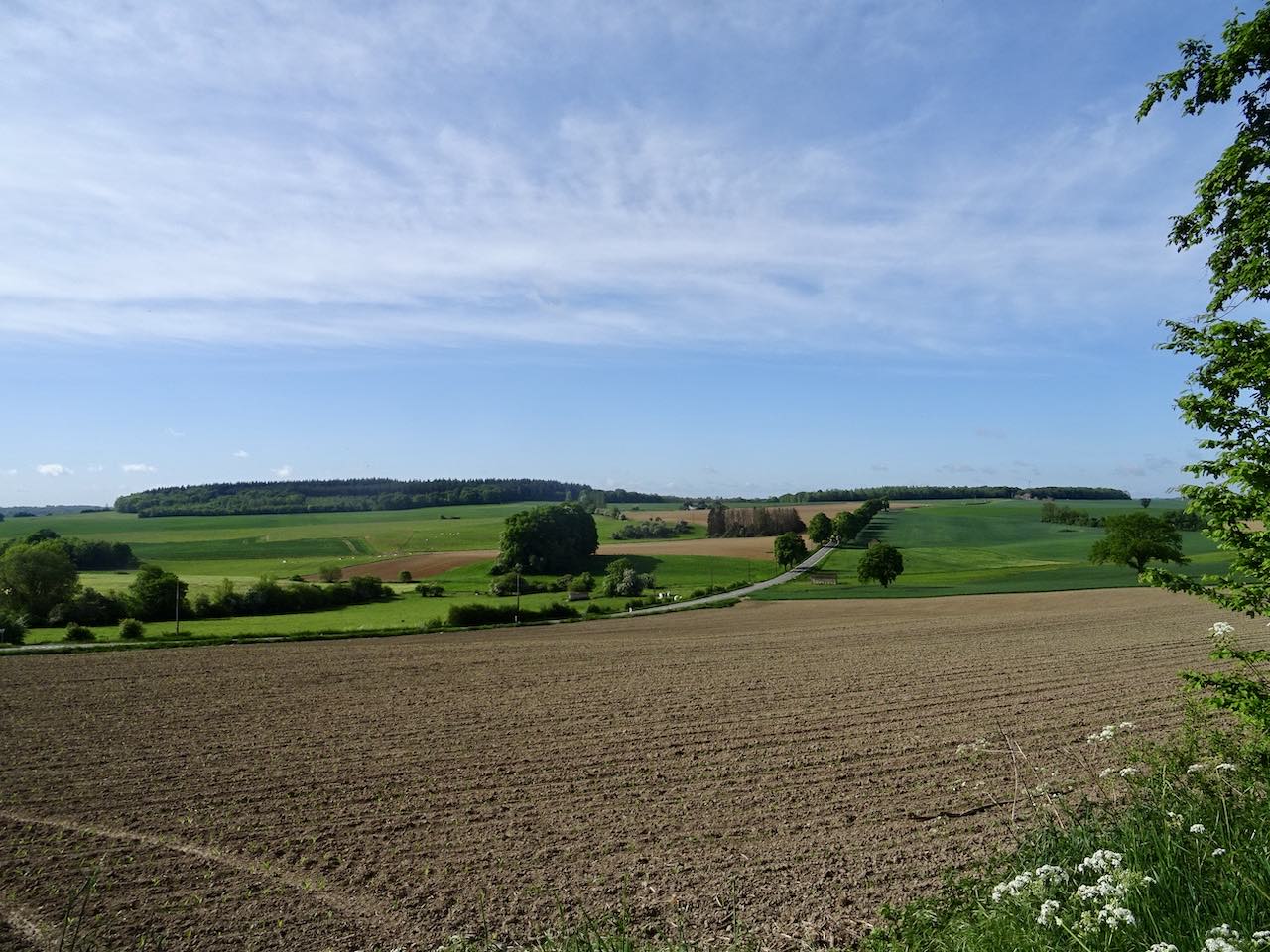entre-lesve-et-saint-gerard-1 Vue sur les champs