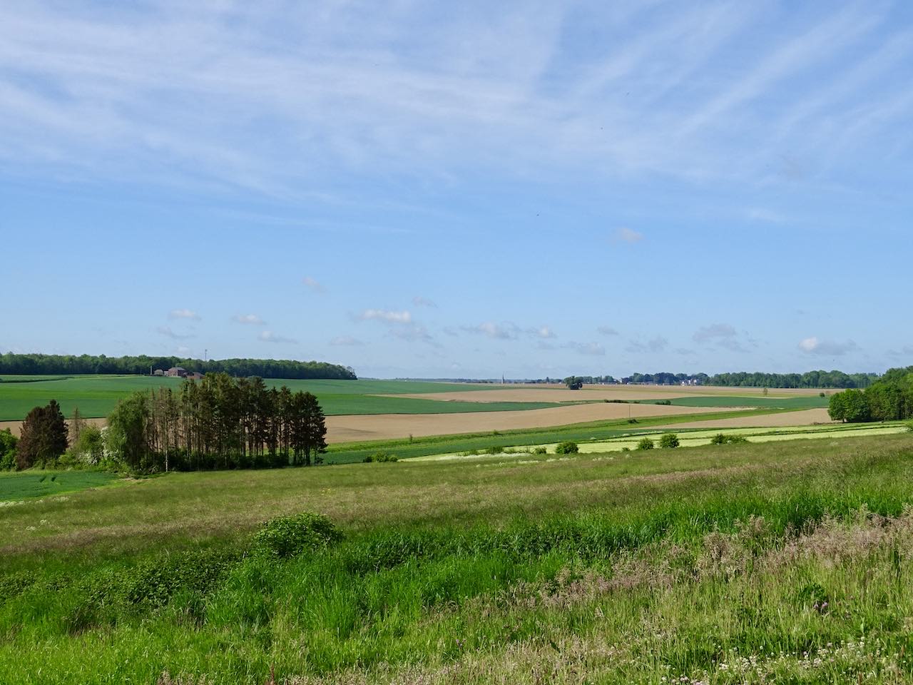 entre-lesve-et-saint-gerard-2 Vue sur les champs