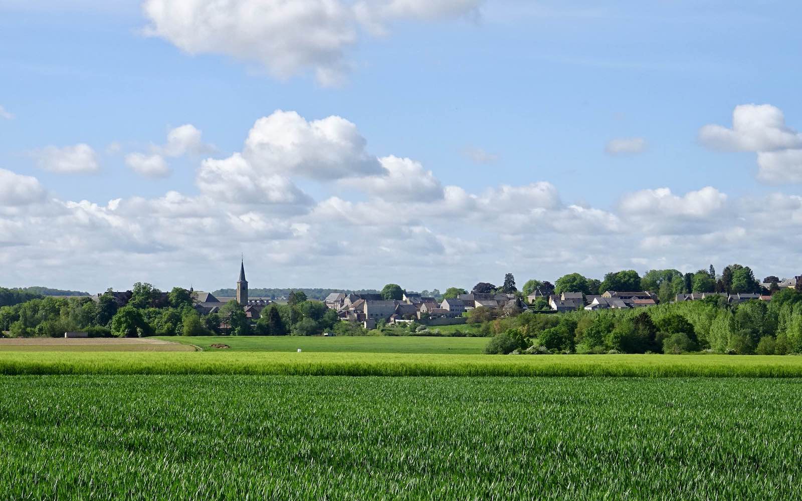Entre Lesve et Saint-Gérard