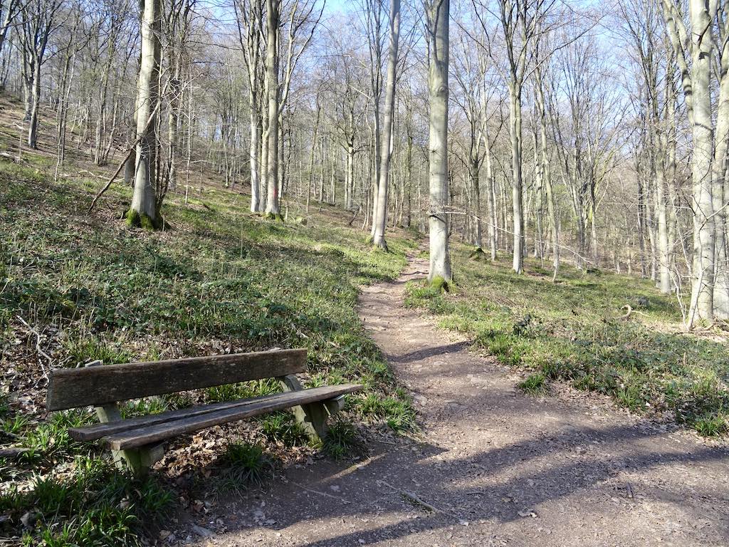 Bois de la grande Hulle