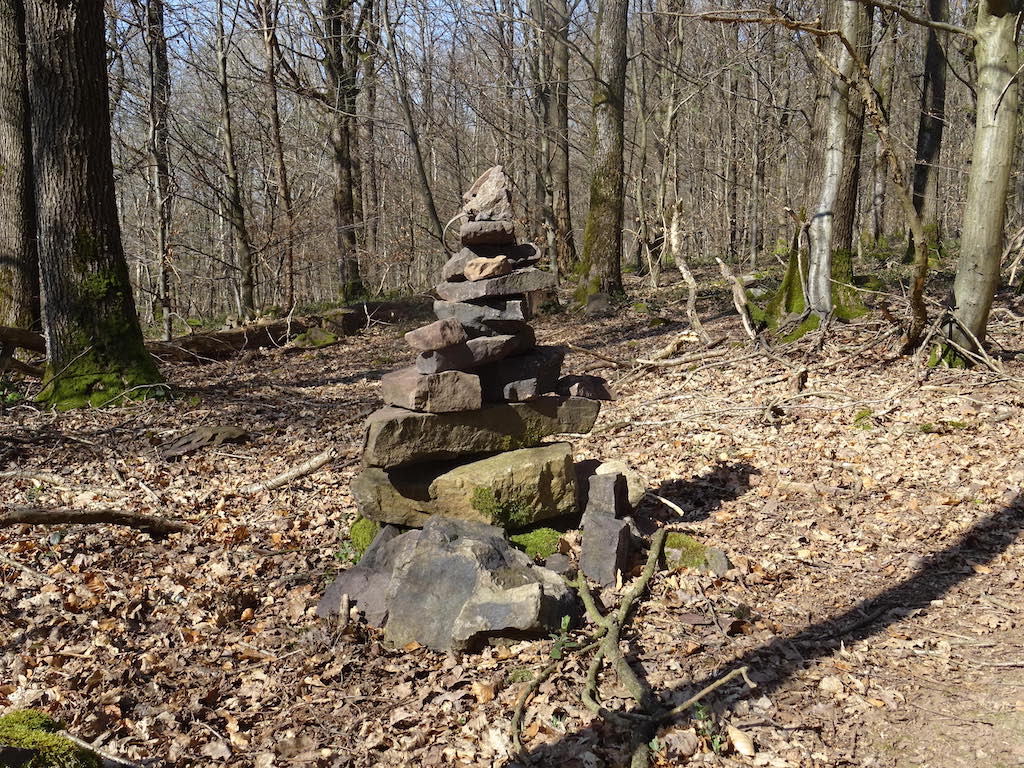 Bois de la grande Hulle