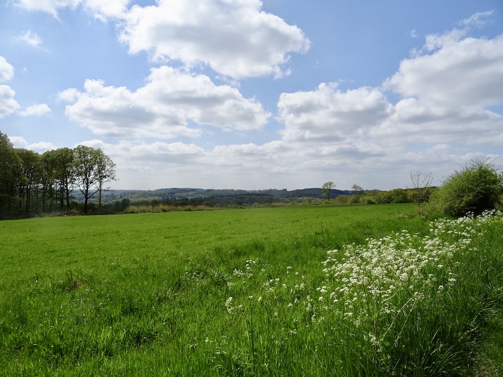 Les champs de la Sibérie