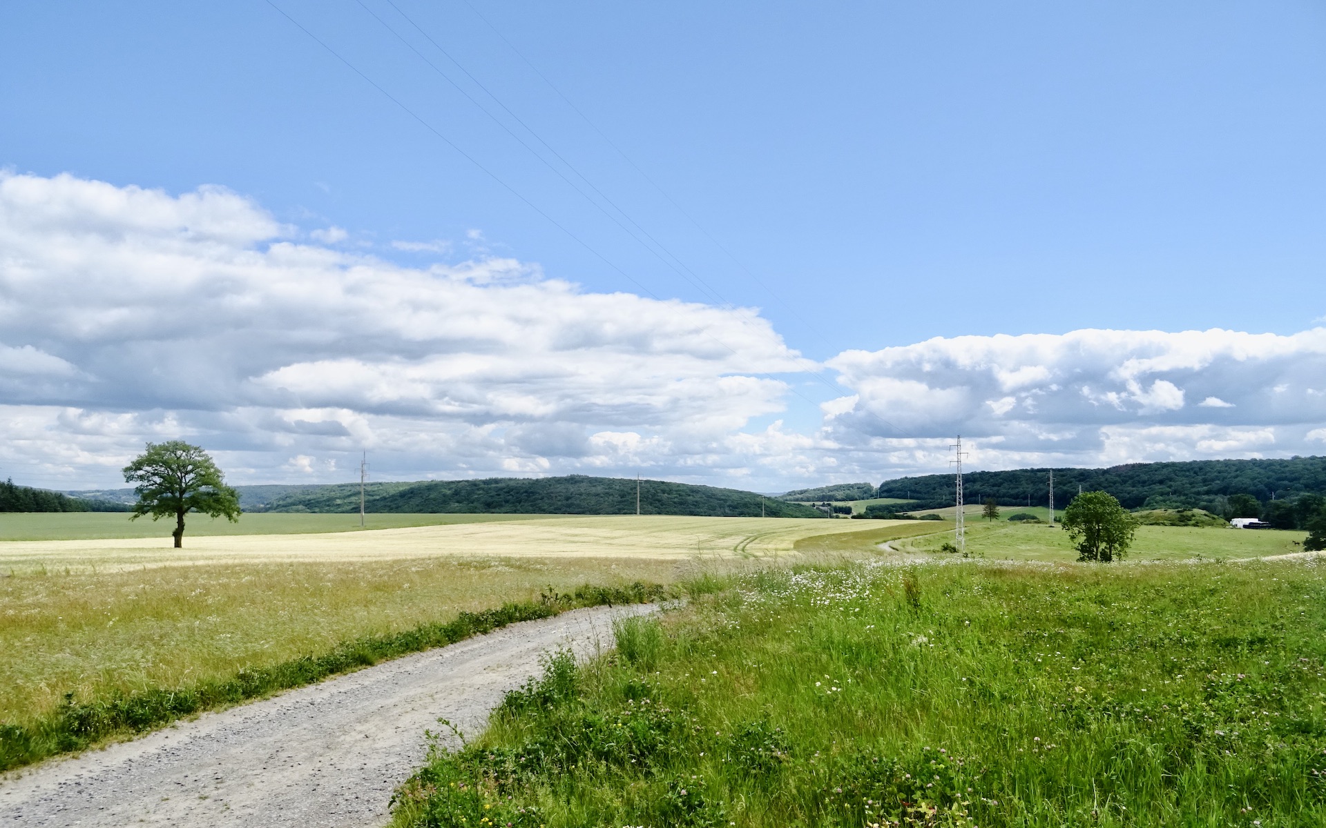 Sur les hauteurs de Arbre