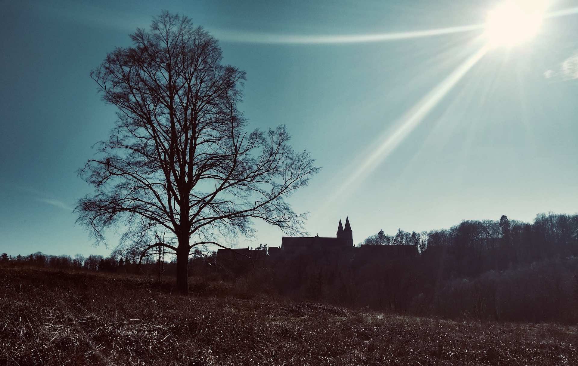 Vue sur l'abbaye de Maredsous