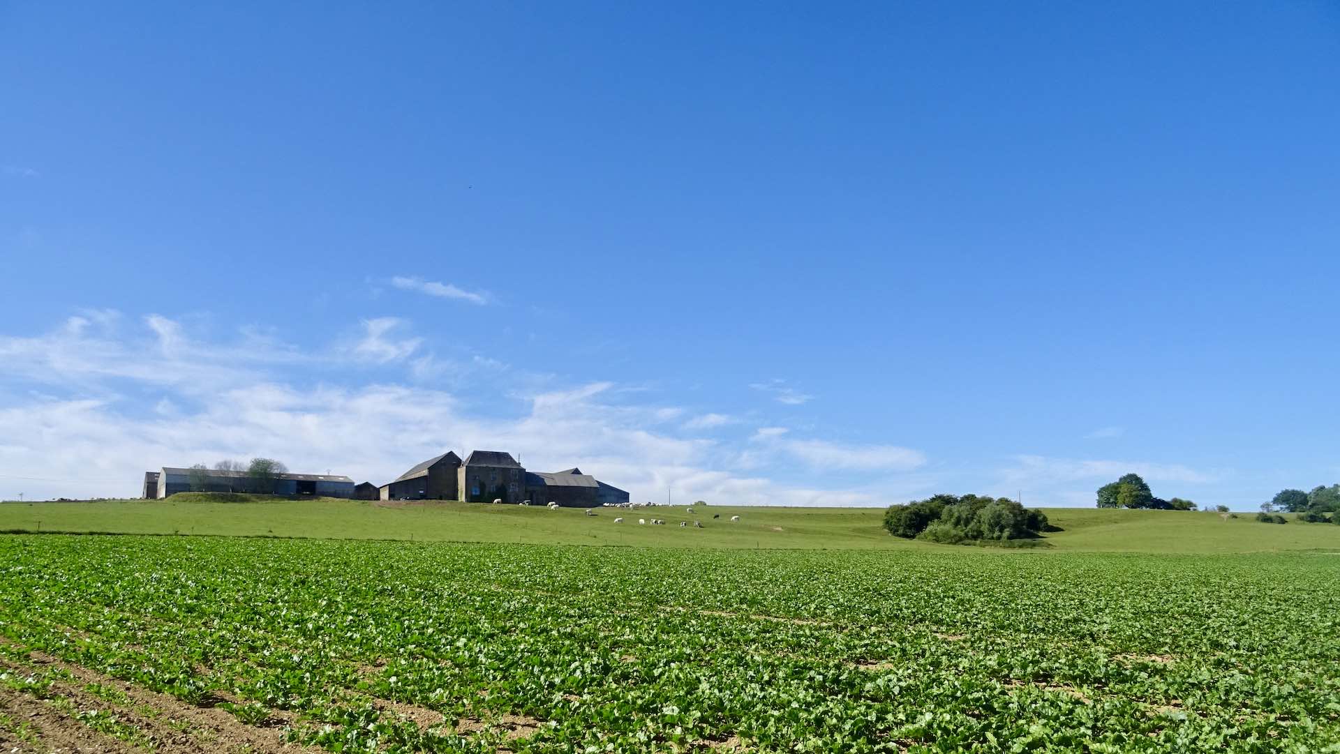 Promenade vers Crupet