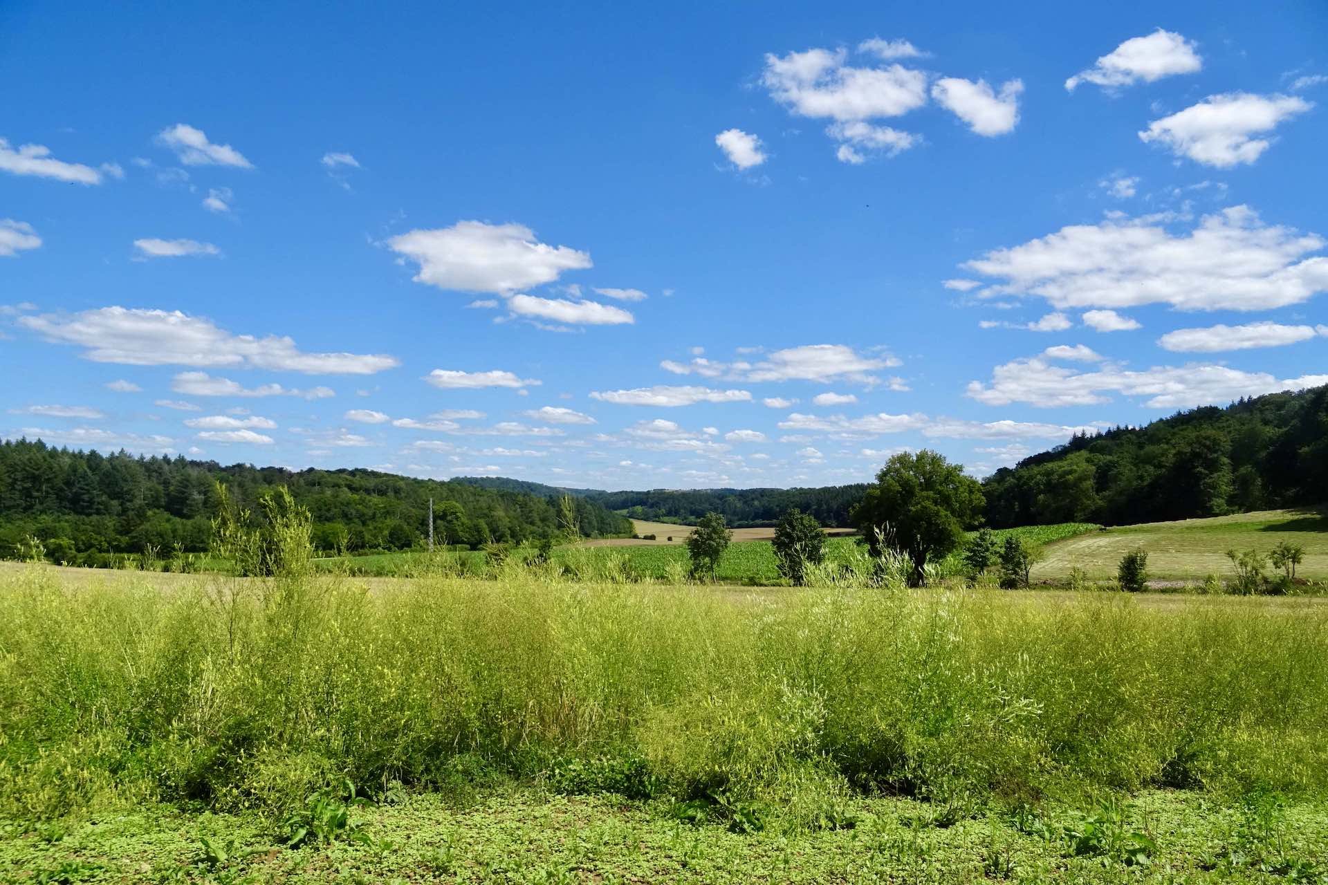 La campagne d'Annevoie