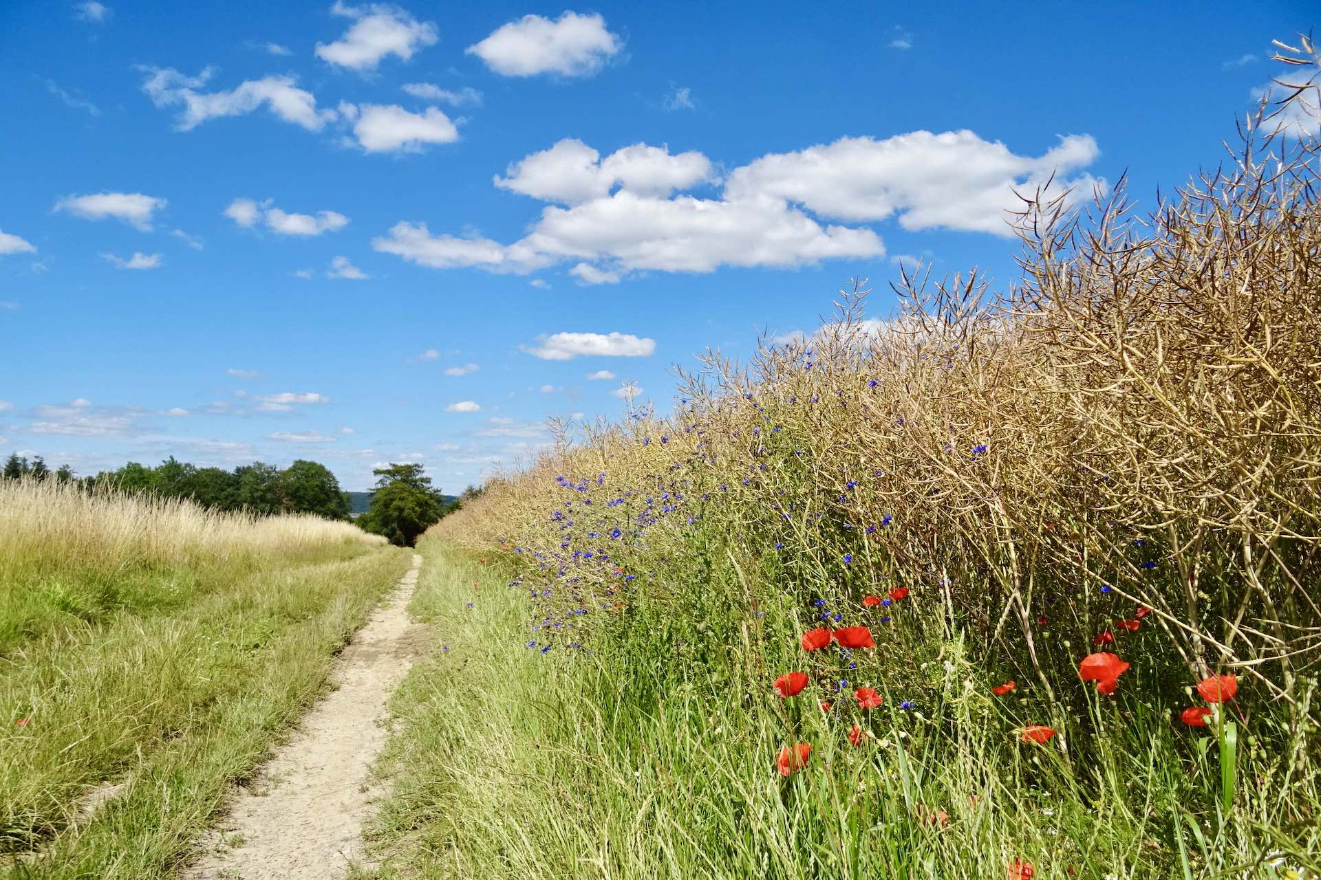 La campagne d'Annevoie
