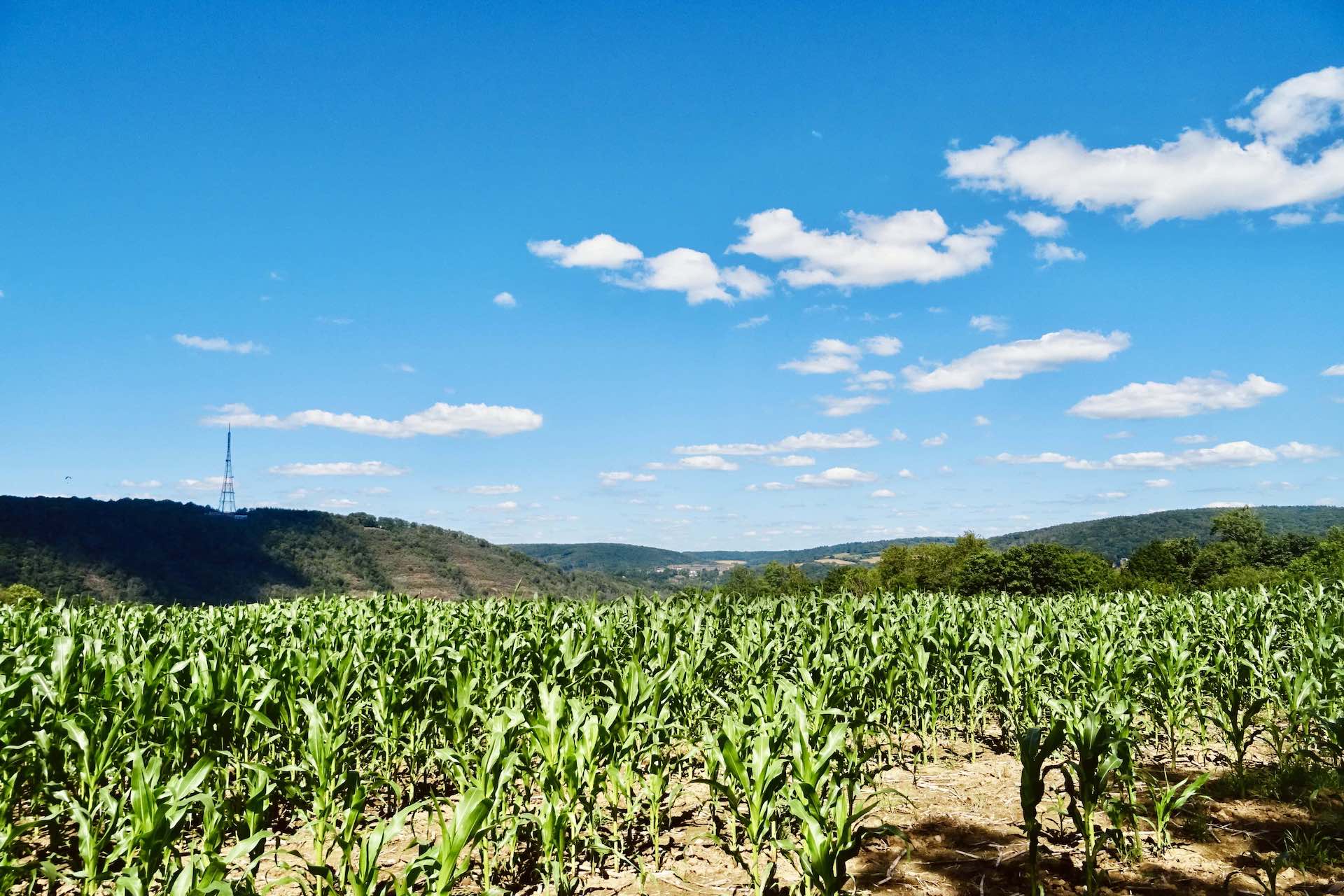 La campagne d'Annevoie