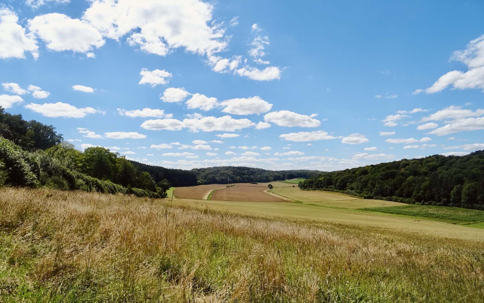 La campagne d’Annevoie