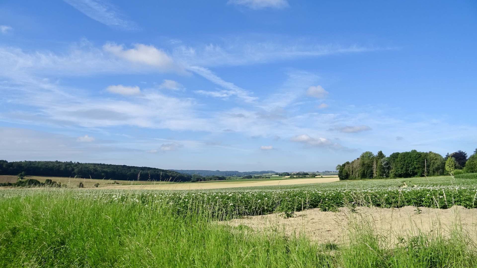 Promenade entre Courrière et Crupet