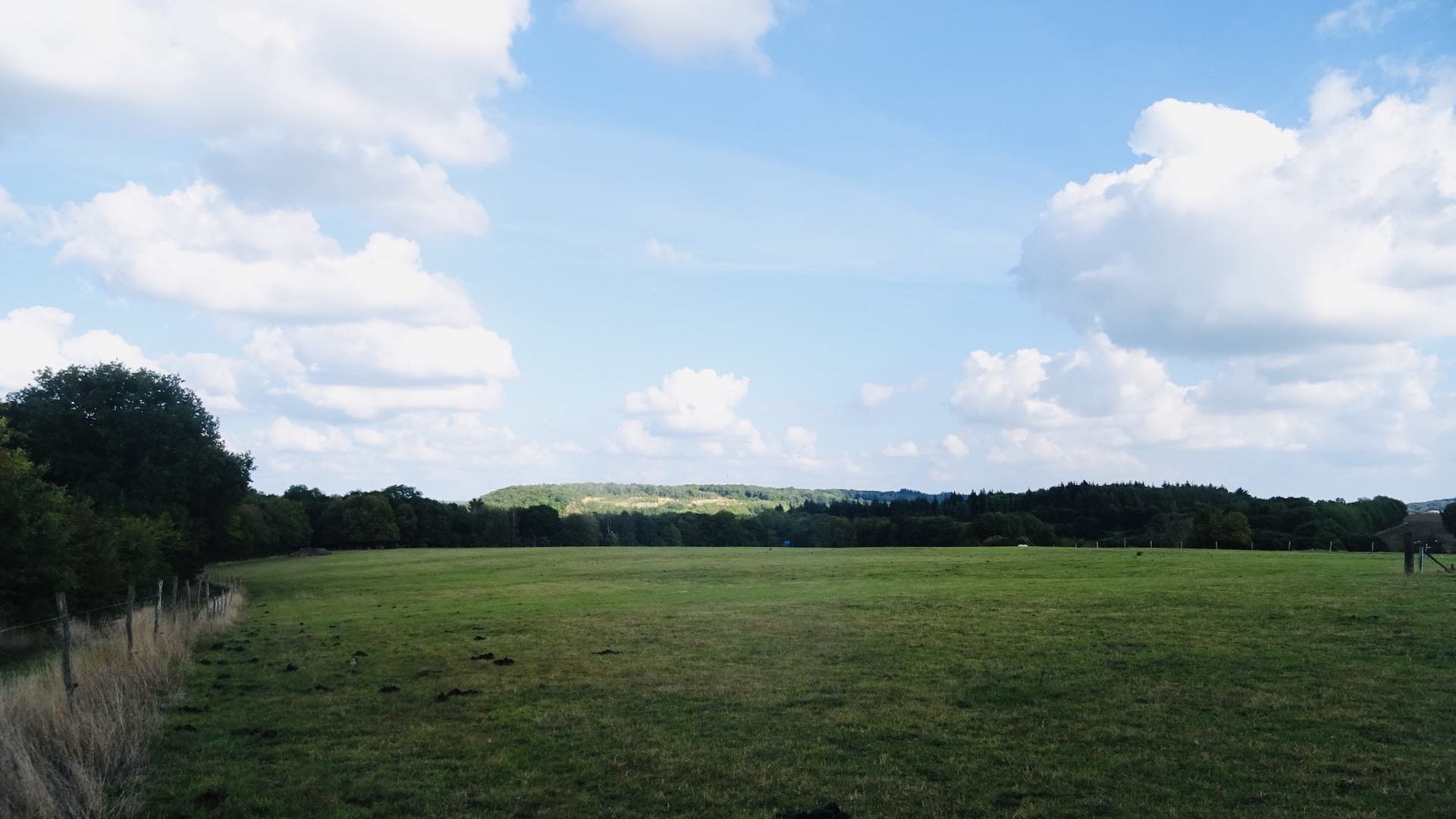Entre Arbre et Bioul
