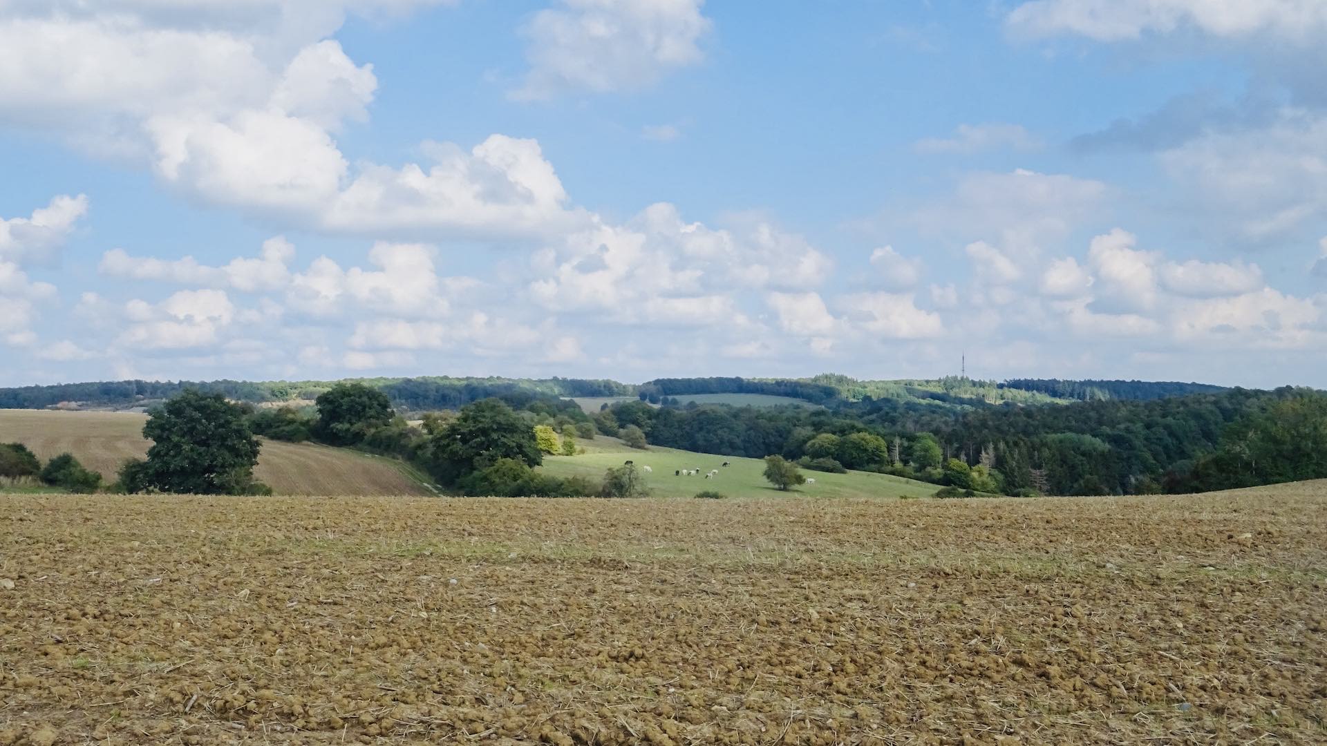 Entre Arbre et Bioul
