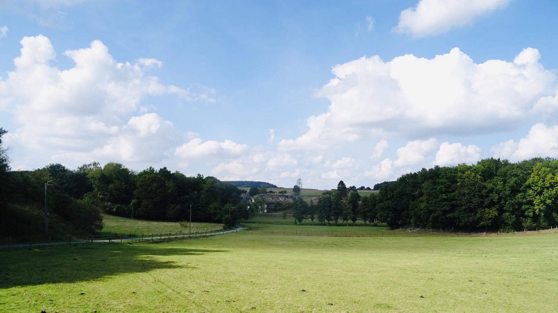 Entre Arbre et Bioul