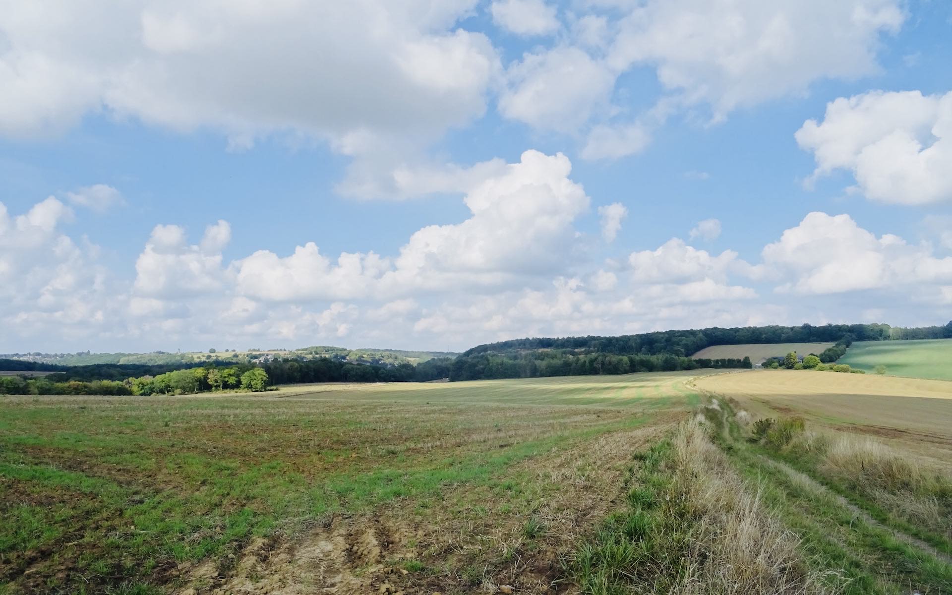 Entre Arbre et Bioul